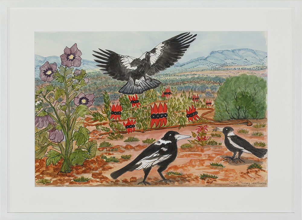 Magpies, desert rose, Sturt's desert pea - Painting - Selma Nunay Coulthard