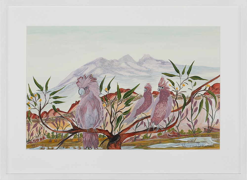 Three galahs - Painting - Vanessa Inkamala