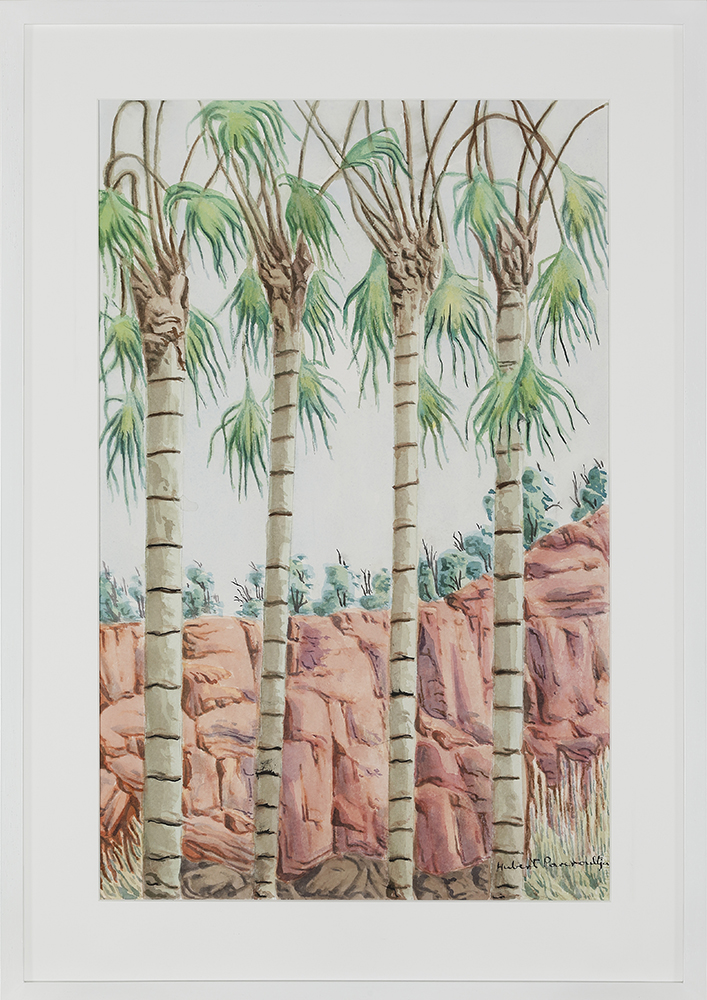 Alyape (Palm Valley), NT - Painting - Hubert Pareroultja