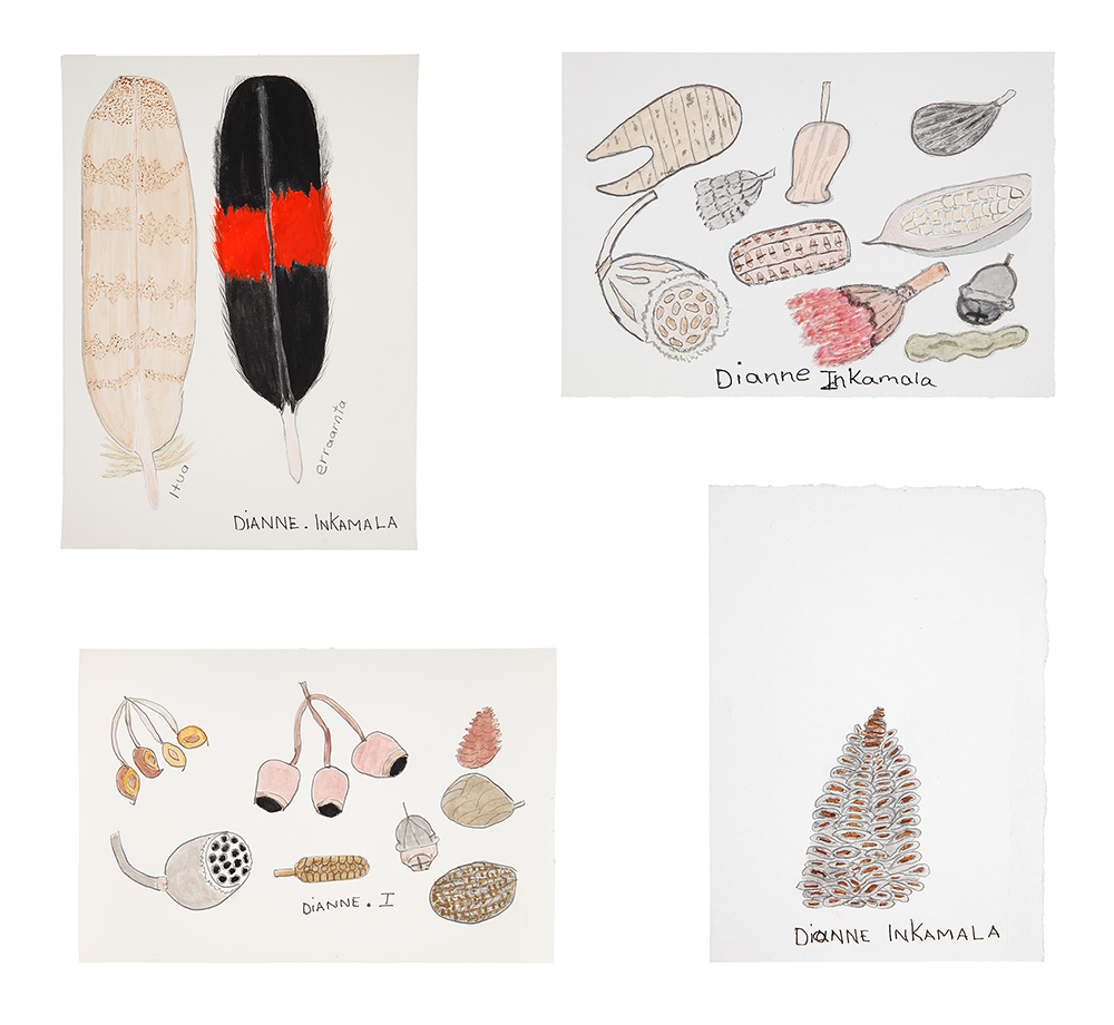 Itua, erranta and desert fruits and seeds - Painting - Dianne Inkamala