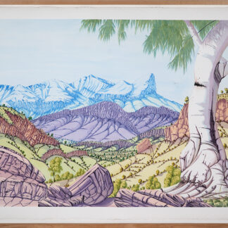 Papunya, NT - Painting - Stanley Ebatarinja