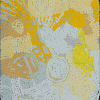 Wantili (Warntili, Canning Stock Route Well 25) - Painting - Ngamaru Bidu