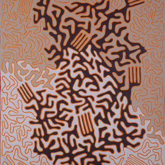 Yunala - Painting - Adrian Jurra Tjungurrayi