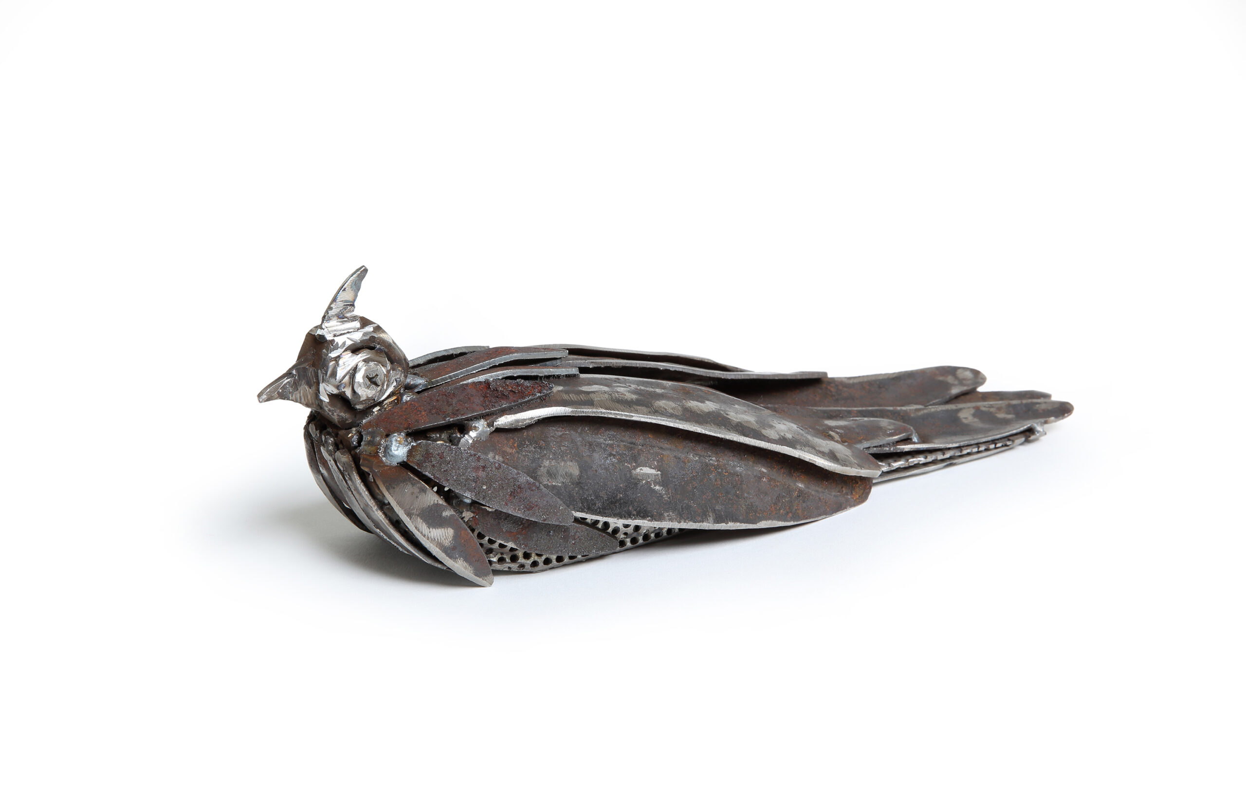Crested pigeon squattting - Sculpture - W K