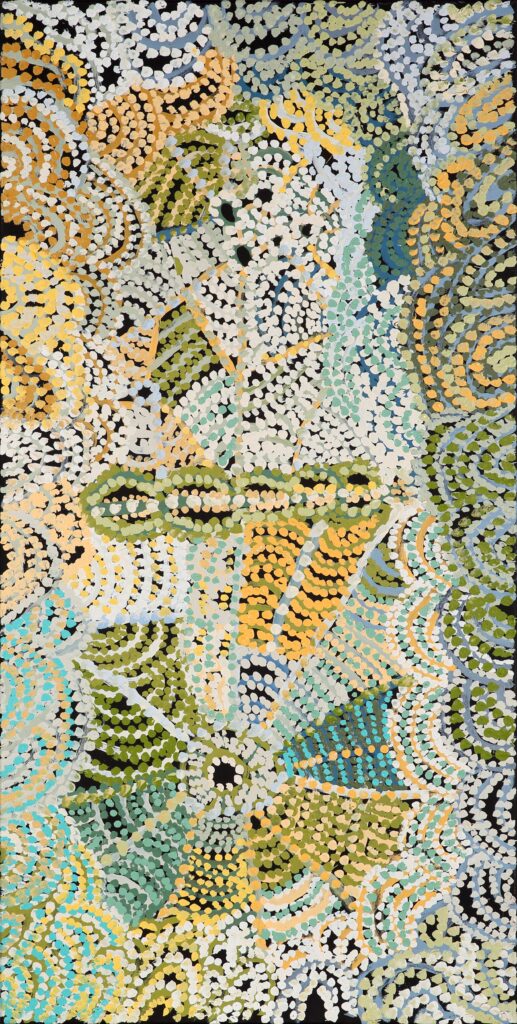 Ananyi ngura (Traveling country) - Painting - Emily Cullinan