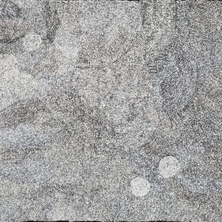 Maḻangka puyini (After rain) - Painting - Betty King