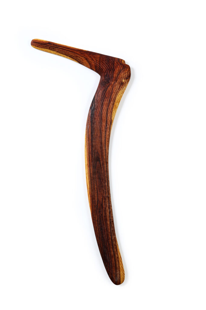 Alya irlpakerte (number 7 boomerang) - Painting - Clinton Mpetyane Oliver