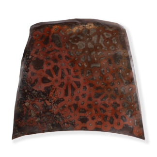 Mutuka tjukurpa: Pila (spinifex plains) tracks - Sculpture - Shane Dodd