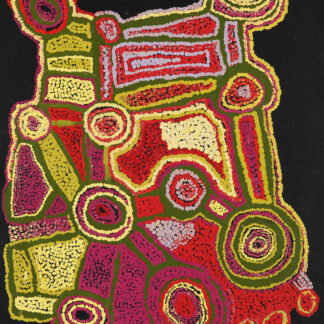 Wayiyul - Painting - Ngalpingka Simms