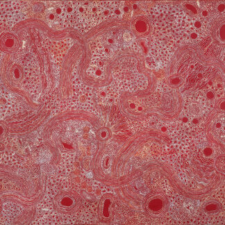 Ngayuku ngura (My country) - Painting - Janie Kulyuru Lewis