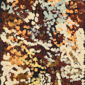 Akwerlperlp - Painting - Cindy Mbitjana Dixon