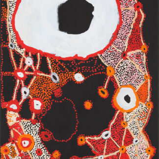 Janganpa (Brush-tailed possum ) Jukurrpa - Painting - Steven Jupurrurla Nelson