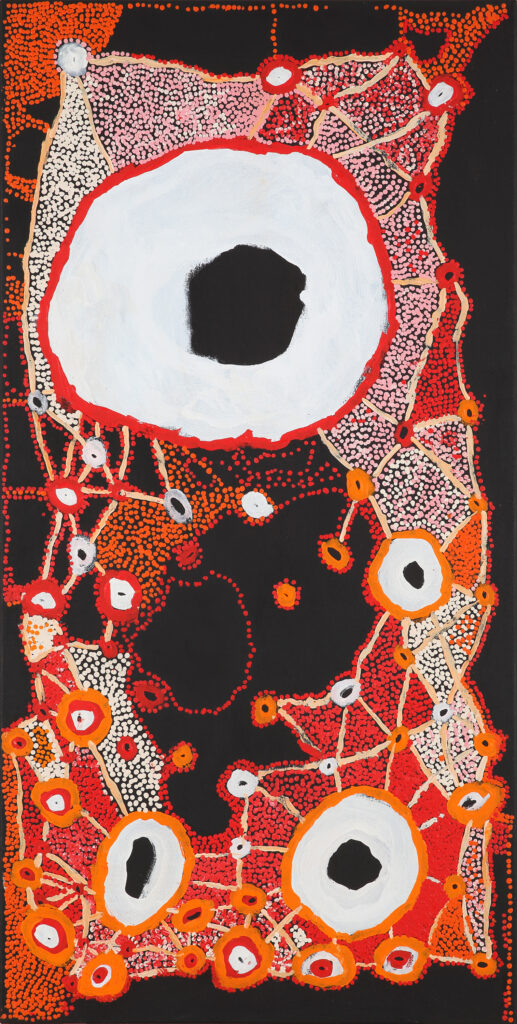 Janganpa (Brush-tailed possum ) Jukurrpa - Painting - Steven Jupurrurla Nelson